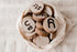 QTOYS - Wooden Phonogram Learning Kit 1
